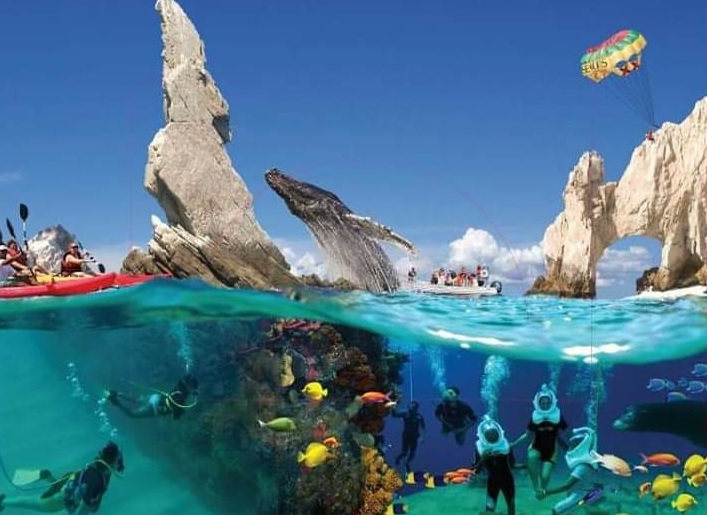 LOS CABOS Tours y Experiencias
